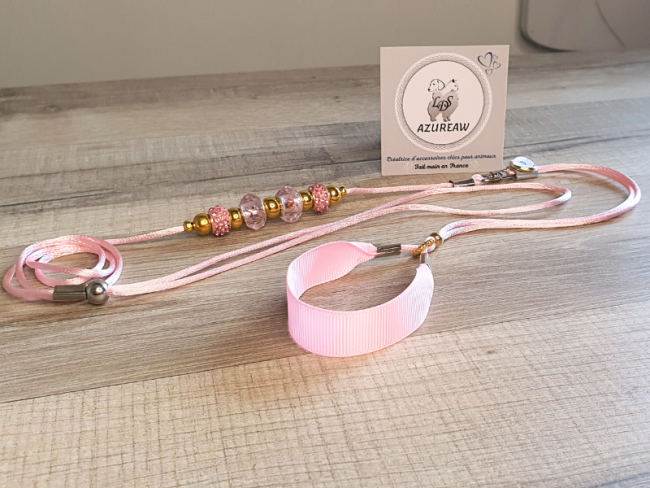 Laisse expositions canines mini chien DOUCEUR DE PÉTALE avec sous gorge - Fait main Laisse expositions canines mini chien DOUCEUR DE PÉTALE avec sous gorge - Fait main