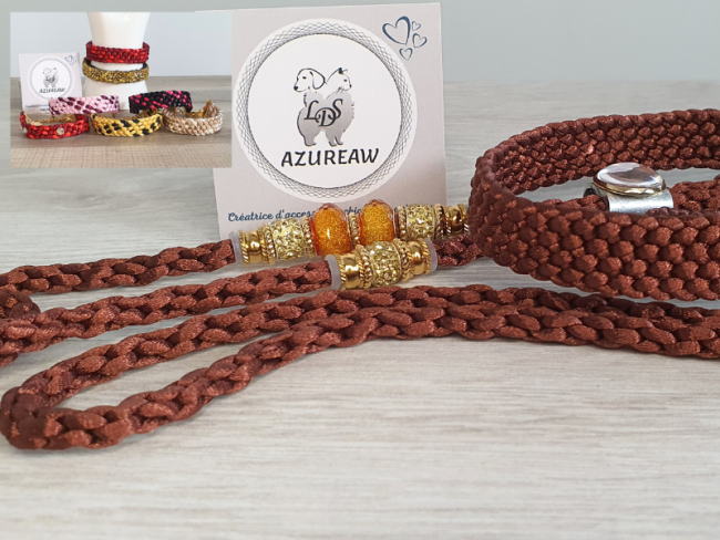 Laisse expositions canines NOISETTE DORÉ  avec sous gorge pour grand chien - Fait main