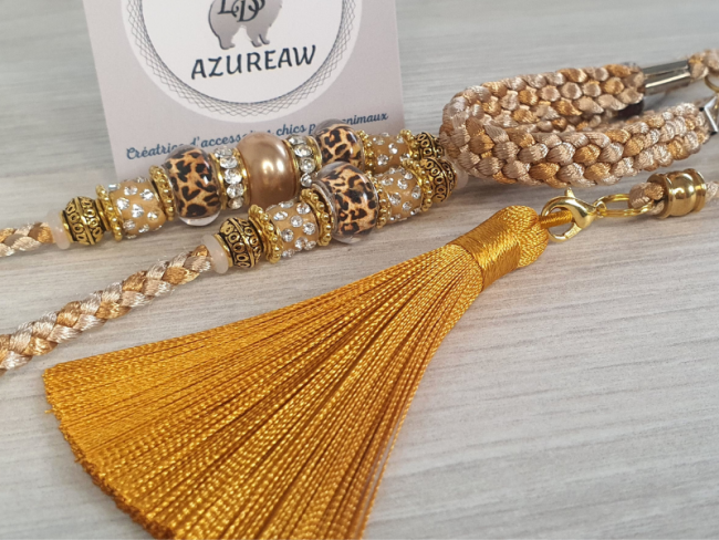 Pompon doré porte-bonheur sur laisse d’exposition canine Élégance Sauvage