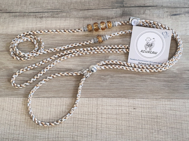 Laisse expositions canines grand chien Sans sous-gorge  