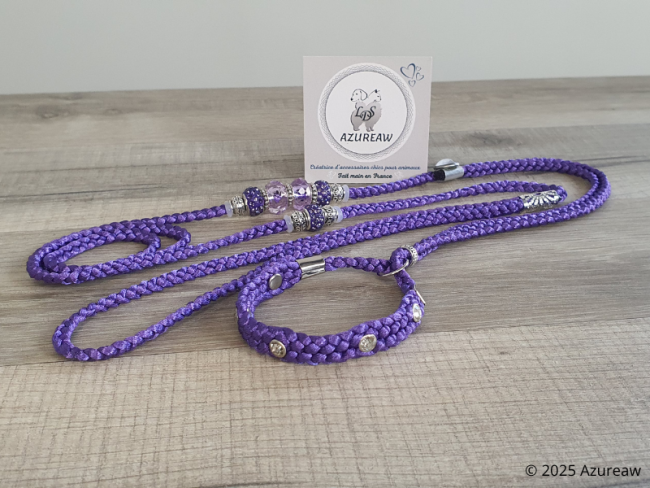 Laisse d’exposition Violette Scintillante – Violet et argent avec strass | Azureaw Laisse d’exposition Violette Scintillante violet avec strass et perles violettes, mauve et argent | Azureaw