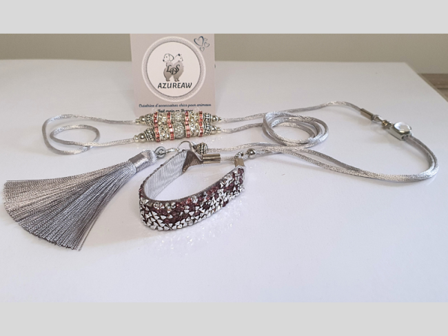 Laisse expositions canines Luxe ÉTOILE ARGENTÉE pour mini chien - Fait main