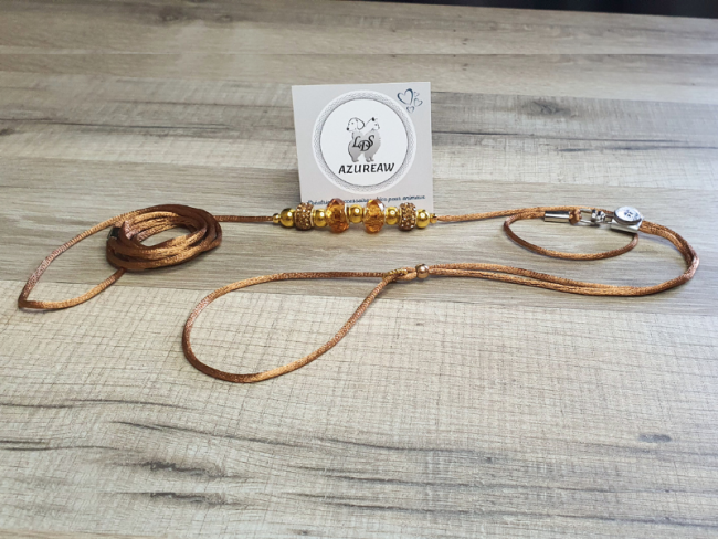 Laisse expositions canines Mini chien sans sous-gorge Laisse expositions canines Mini chien sans sous-gorge