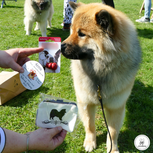 Pochette à friandises offerte pour la Nationale d’Élevage 2025 du CFE – Partenariat Azureaw Pochette à friandises pour chien offerte lors de la Nationale d’Élevage 2025, présentée devant un chien dans le cadre du partenariat Azureaw