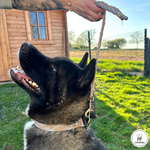 Laisse mousqueton - Fait main