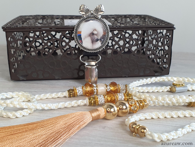 Coffret Expos Canines Azureaw - Laisse Luxe Ivoire de Champagne avec poignée et pompon & Broche porte-numéro personnalisé Nœud- Fait main