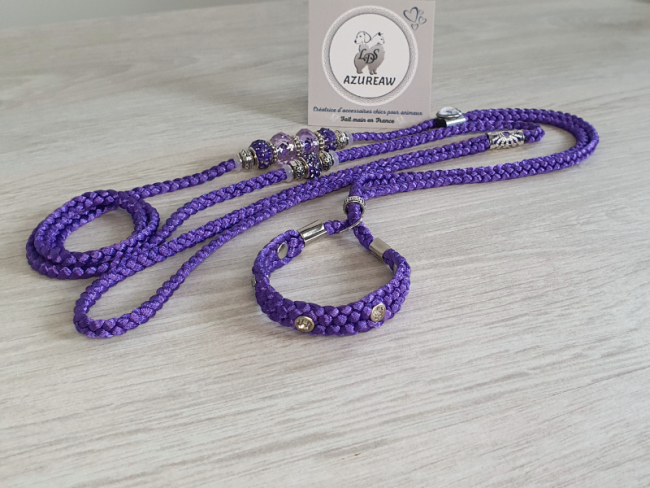 Laisse d’exposition Violette Scintillante – Violet et argent avec strass | Azureaw Laisse d’exposition Violette Scintillante violet avec strass et perles violettes, mauve et argent | Azureaw
