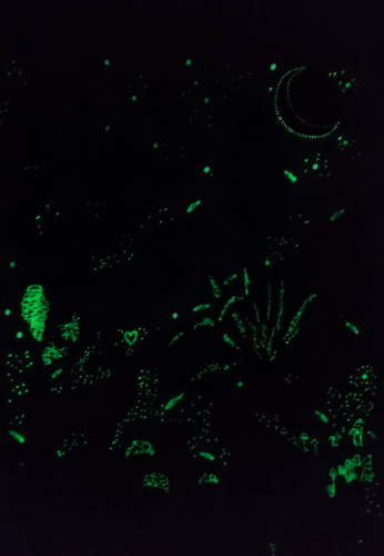 Captura de Pantalla 2022-10-19 a la(s) 18.35.32