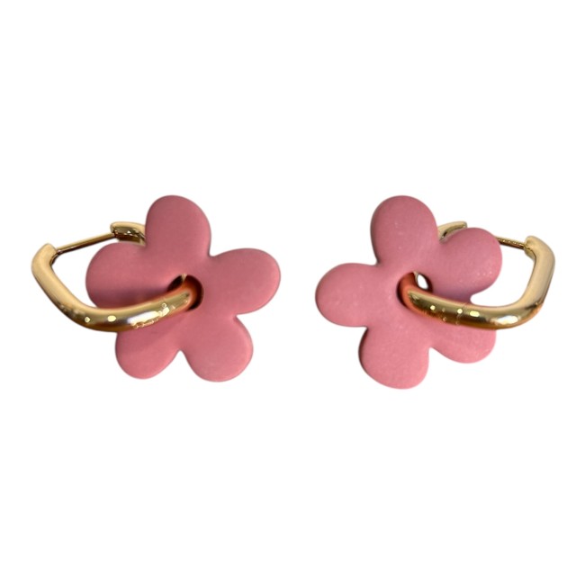 Photoroom_20260225_125738