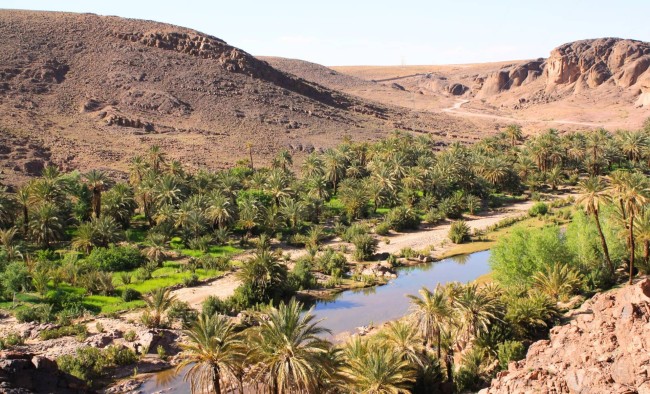 Oasis de Fint au Maroc (photo Ulysse.com)