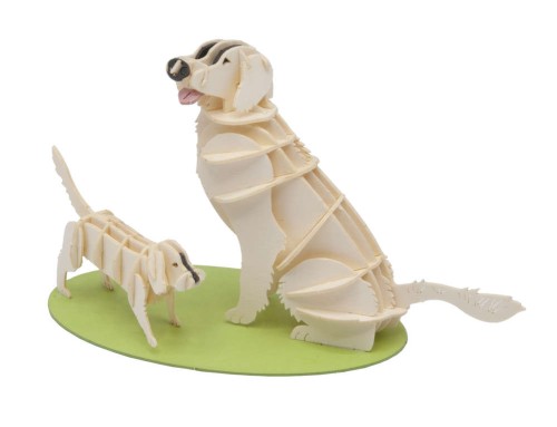 Maquette 3D Golden Retriever à monter | Weemood