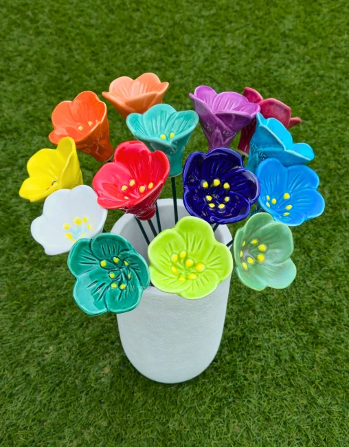 20250904_134525-Edited-1