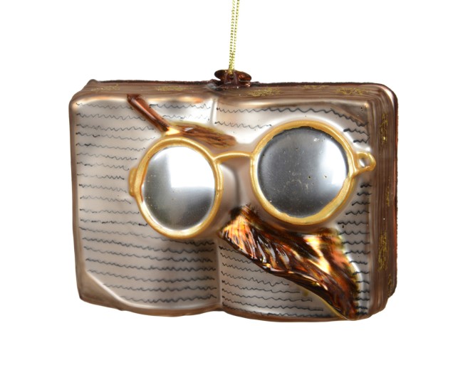 Livre verre avec lunettes