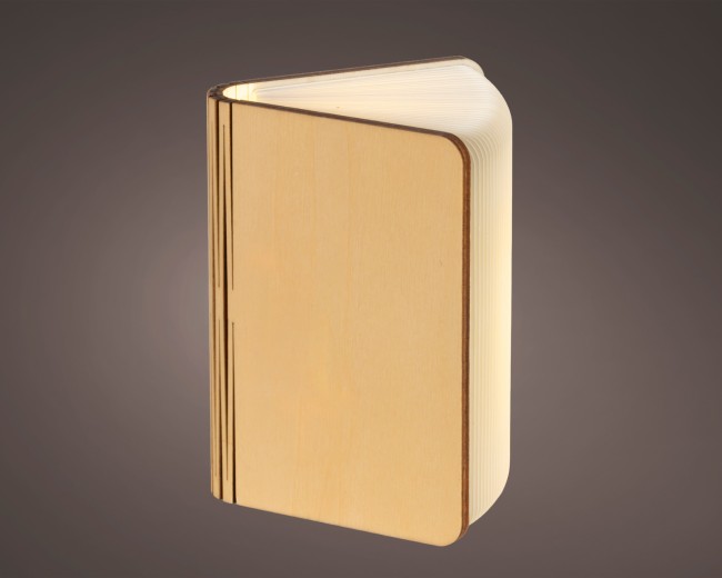 Livre lumineux LED décoratif — format 17,5 × 12 cm