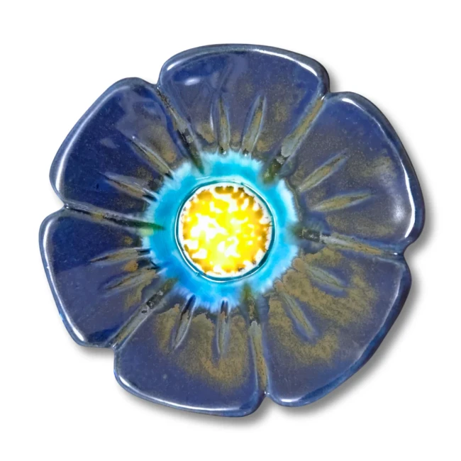 Petrosia-Dark-Blue-Rusty