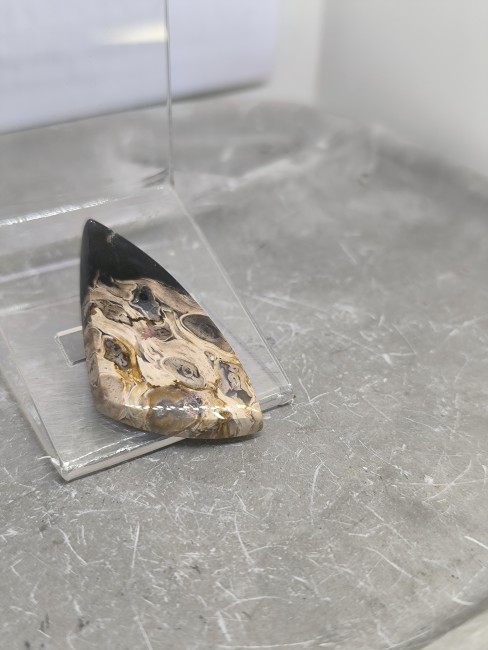 Bois fossilisé de palmier opalisé poli – pièce unique