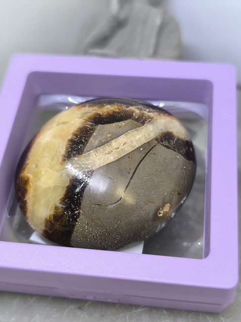 Pierre naturelle septaria pour collection