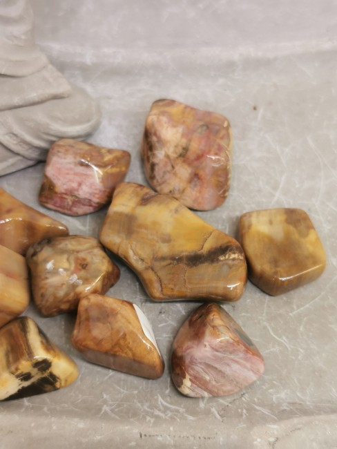 pierre énergétique bois fossilisé