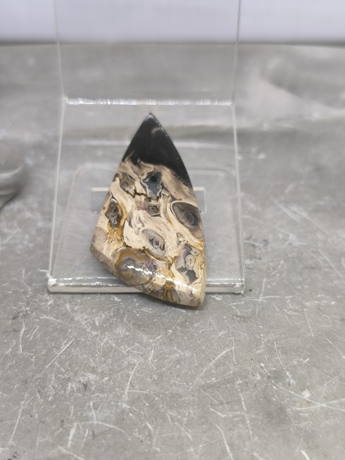 Bois fossile racine de palmier en forme triangulaire naturelle