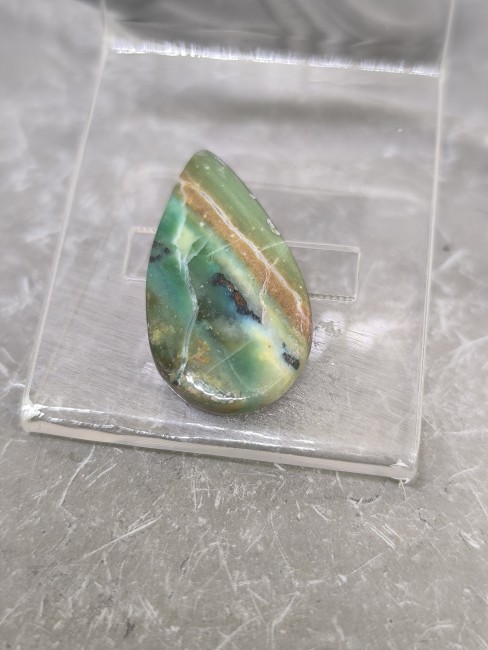 Bois fossile silicifié opalisé – République dominicaine Bois fossile silicifié opalisé République dominicaine