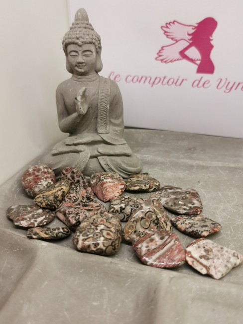 jaspe léopard lithothérapie