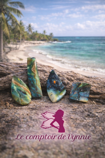 Bois fossile opalisé rare