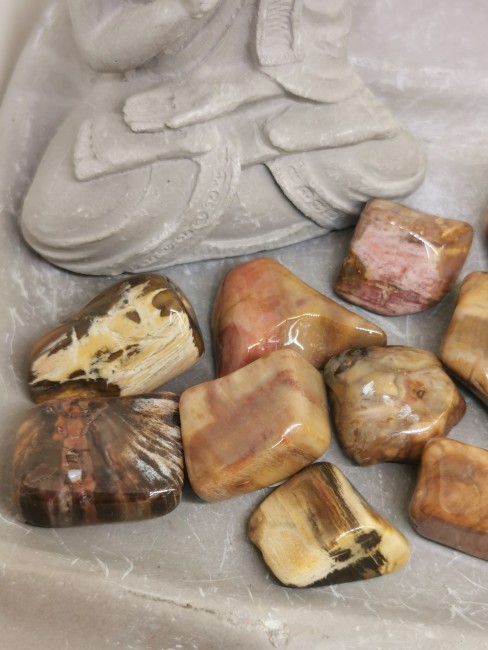 bois fossilisé pierre ancrage