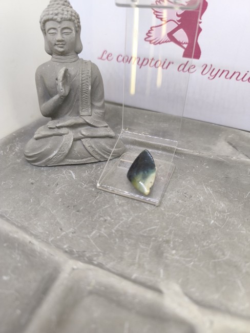 Bois fossile opalisé – Détail et structure Pierre rare bois fossile opalisé vue détaillée