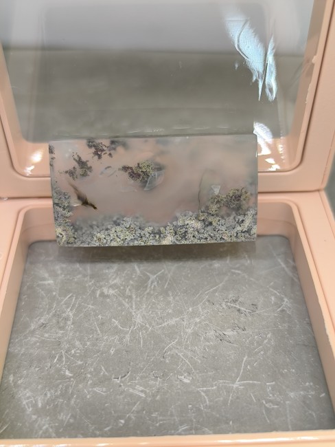 Agate mousse avec mousse fossile visible – pièce unique Pierre agate mousse rare vue rapprochée – transparence naturelle