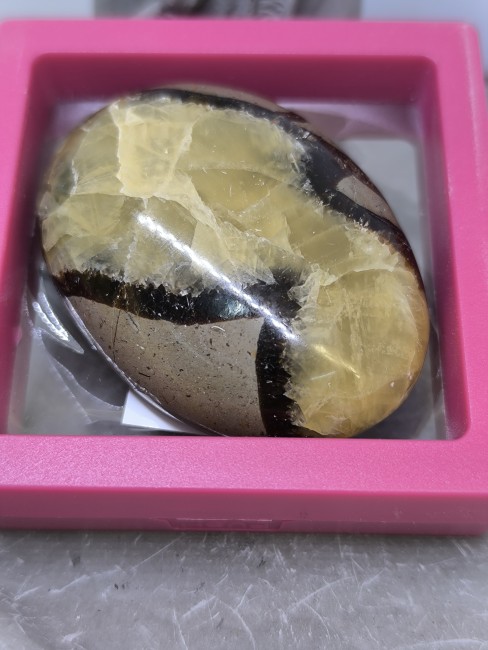 Pierre septaria polie aux motifs géologiques uniques