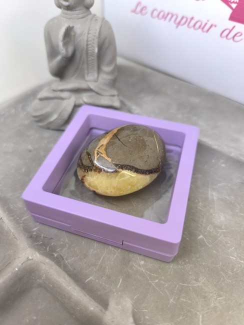 Pierre naturelle septaria aux motifs organiques