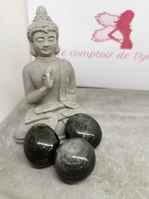 pierre naturelle obsidienne argentée galet