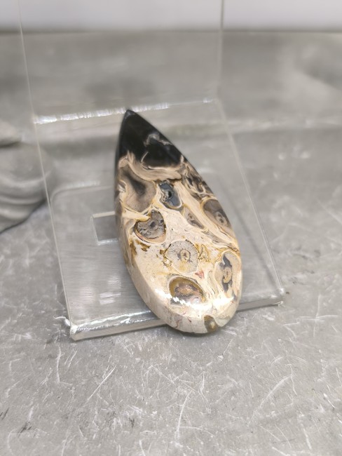 Pierre bois silicifié opalisé naturelle Pierre de bois silicifié opalisé aux teintes beige marron noir