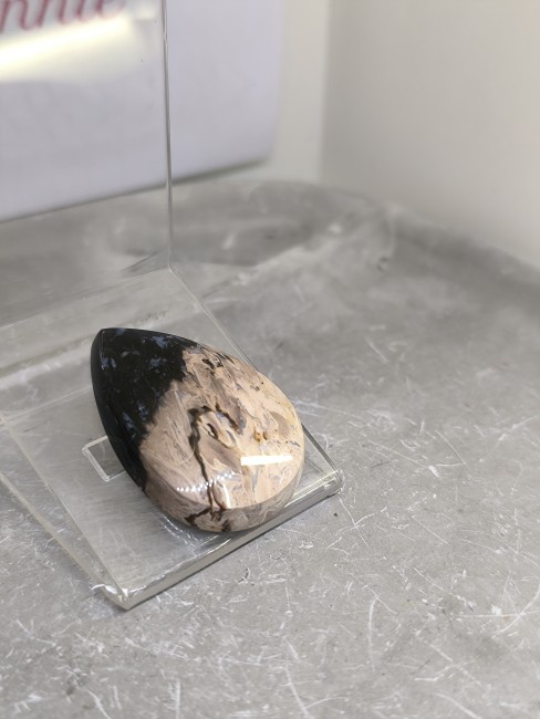 Bois fossile rare aux motifs organiques naturels