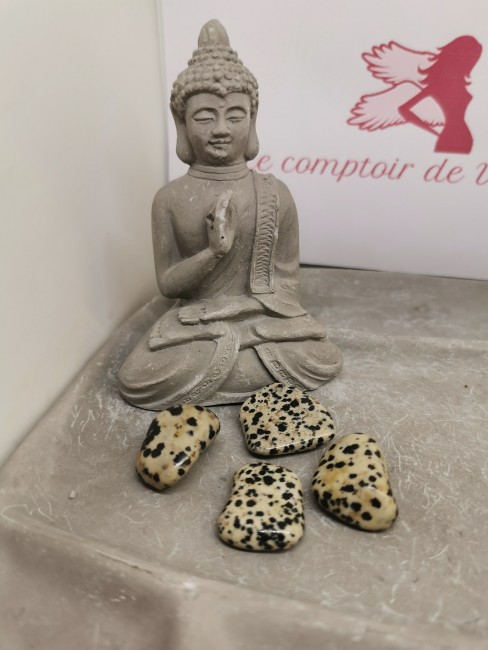 jaspe dalmatien pierre beige taches noires