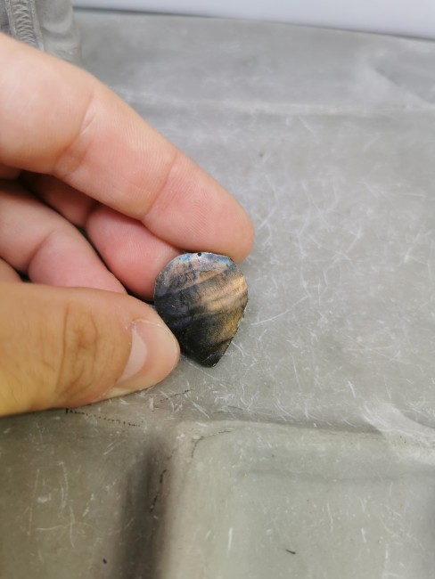 labradorite irisée naturelle