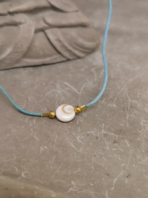 Bracelet coquillage naturel bracelet cordon bleu coquillage oeil