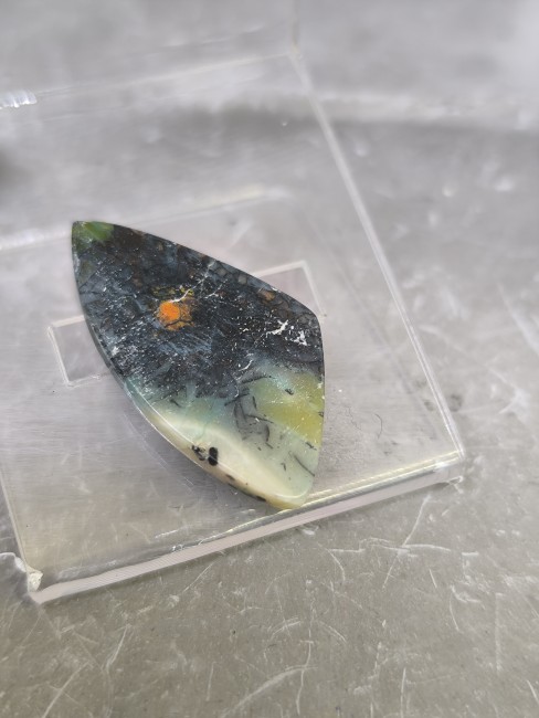 Bois fossile opalisé – Teintes naturelles Bois fossile opalisé couleurs naturelles bleu vert