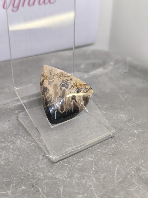 Bois fossilisé décoratif aux nuances naturelles