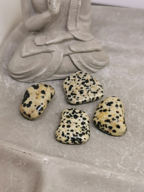pierre roulée jaspe dalmatien naturelle
