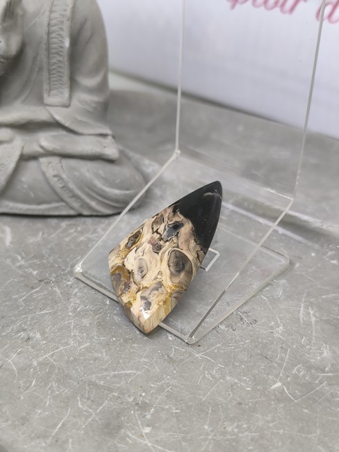 Pierre de bois silicifié aux teintes beige marron noir et gris bleu