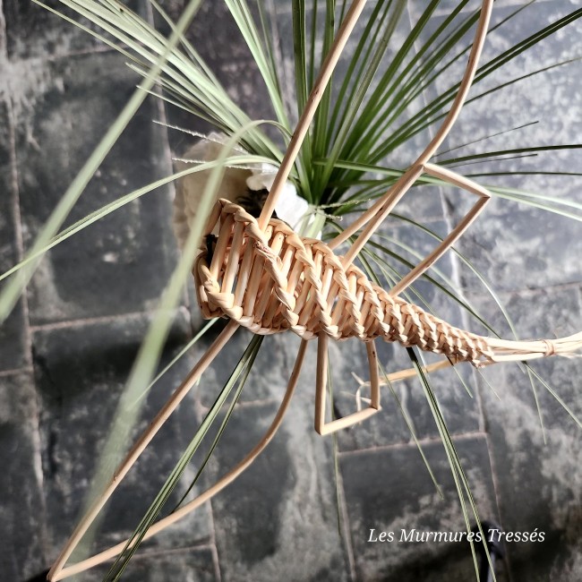 atelier-stage-vannerie-libellule1-murmures-tresses-rimogne.jpg