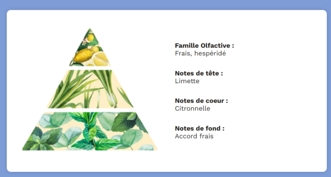 Capture d'écran 2025-11-21 100844