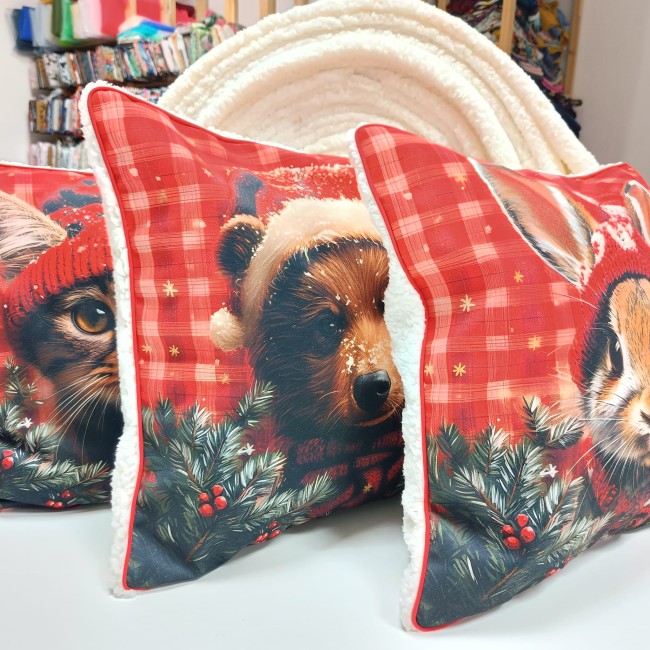 495024195_1255217616613127_6262193392070711078_n