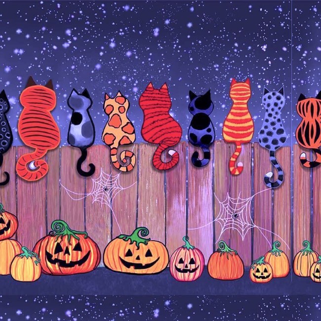 CHATS SUR LA BARRIERE SPOOKY