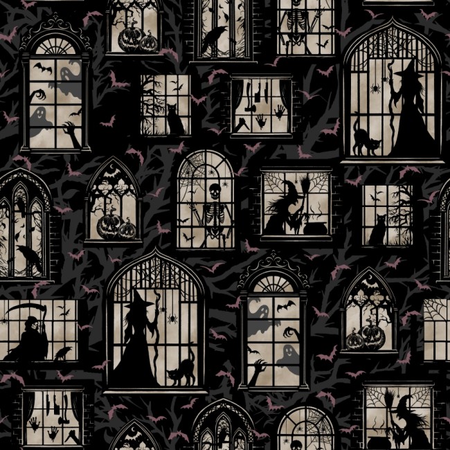 DARKLY ENCHANTED FENETRES NOIR
