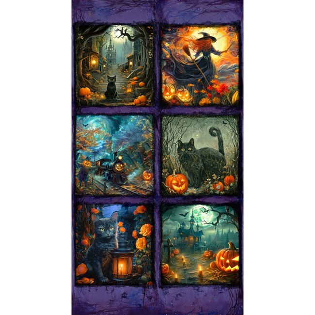 MOON STELL HAUNTED HOUSE APYD-23690-438 NIGHT