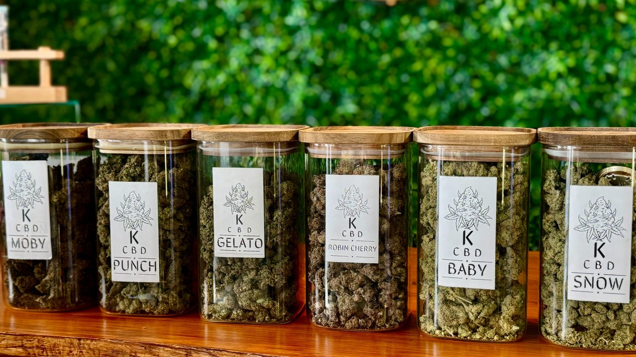 Fleurs de CBD premium en pot – qualité suisse – boutique spécialisée