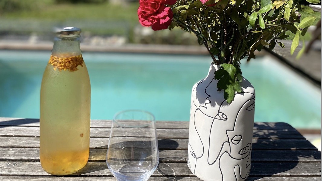 Tisane glacée mangue-orange 