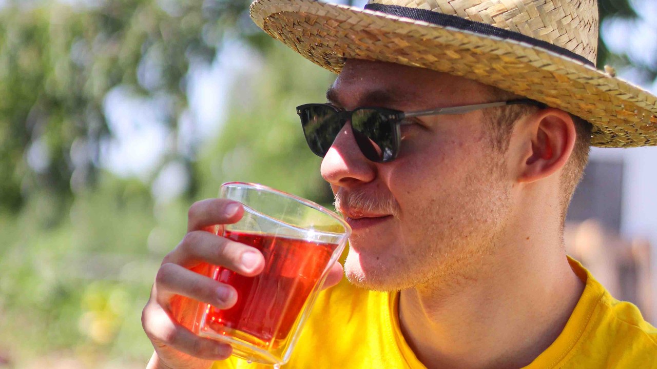 Tisane fruits rouges